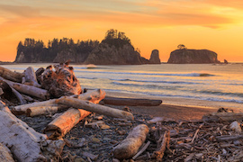 Rialto Beach by elena_survorova - Fotolia.com