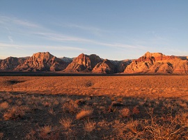 Mojave Wueste by  © scoutingstock - Fotolia.com