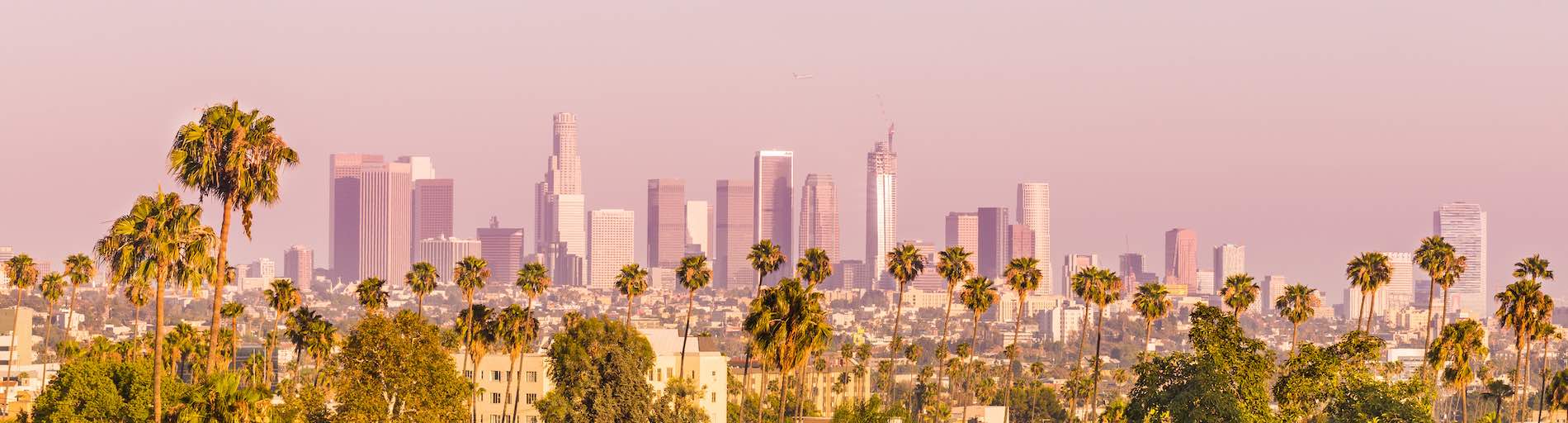 Downtown Los Angeles and Palm Trees at Sunset