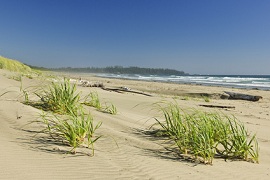 Pacific Rim Nationalpark by Elenathewise - Fotolia.com