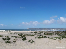 San Diego - Coronado Beach Copyright © Olaf Zornow