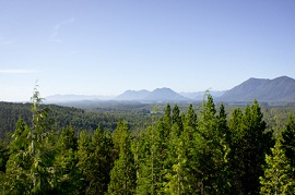 Vancouver Island by Stefano Ginella - Fotolia.com