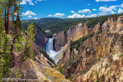 Yellowstone by lucky - Fotolia.com