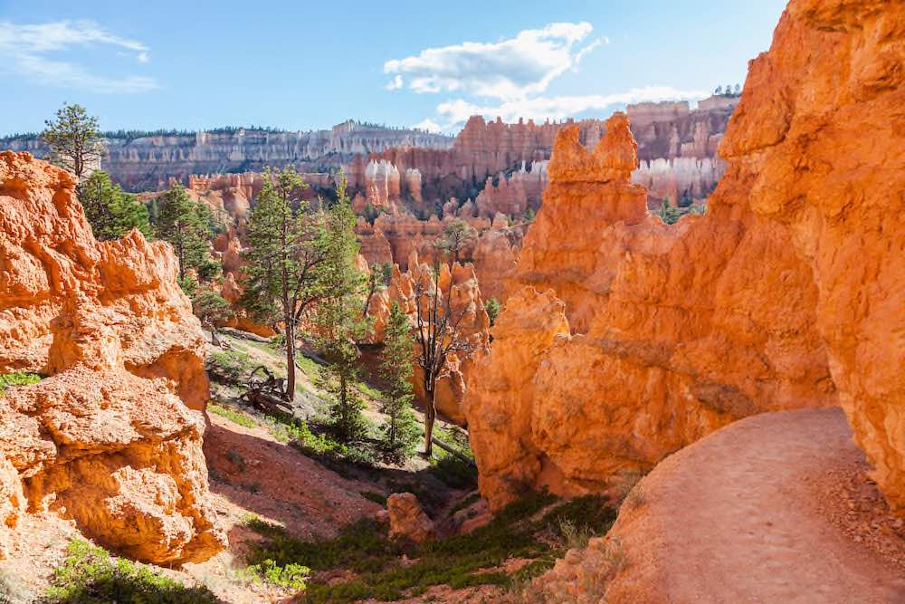 Bryce Canyon - Copyright © AdobeStock 83593576 MarcelS