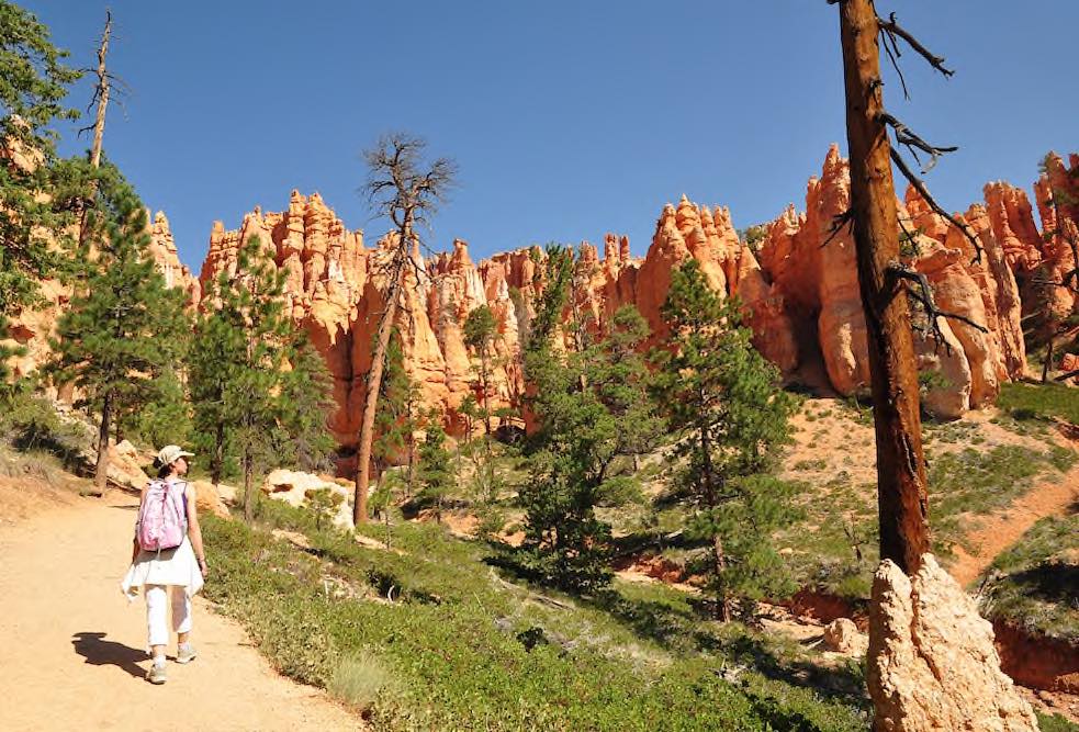 Bryce Canyon - Copyright © AdobeStock 56094236 kravka