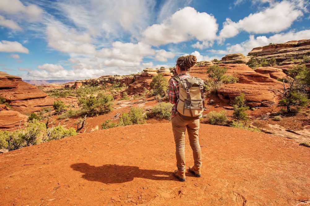 Canyonlands Nationalpark - Copyright © AdobeStock 251189025 Maygutyak