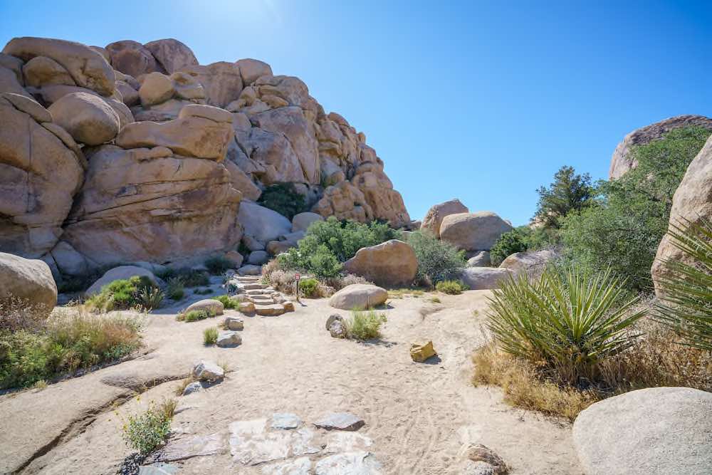 Joshua Tree Nationalpark - Copyright © AdobeStock 348212505 Christian B.