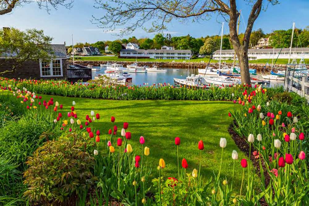 Ogunquit © AdobeStock 435094493 thomas