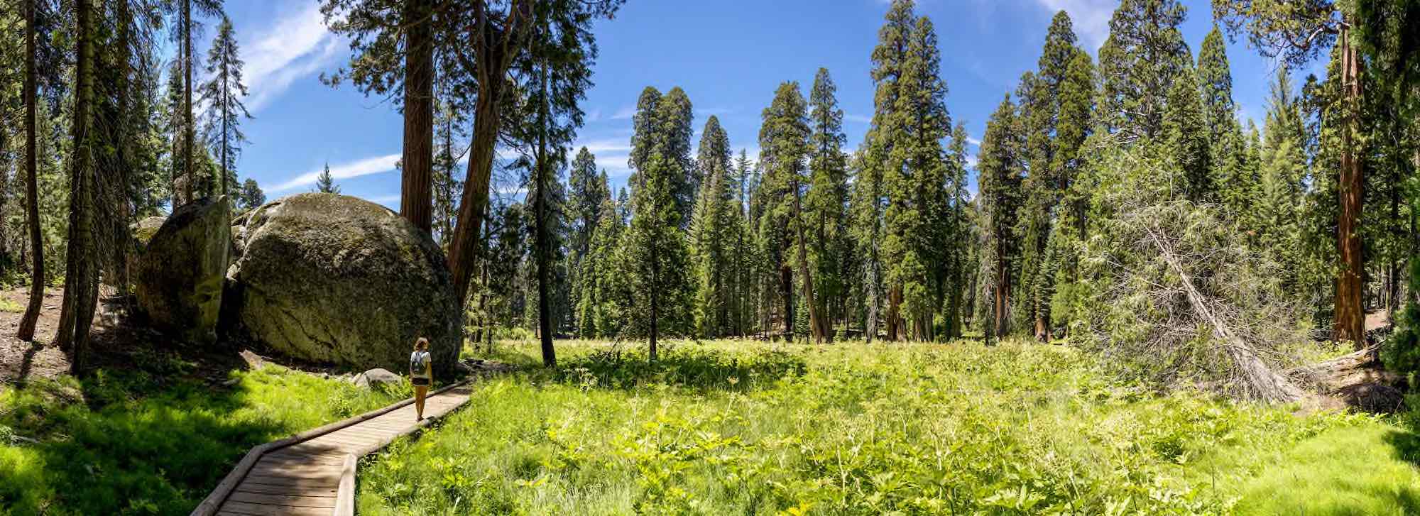 Sequoia Nationalpark © AdobeStock 331421922 Simon