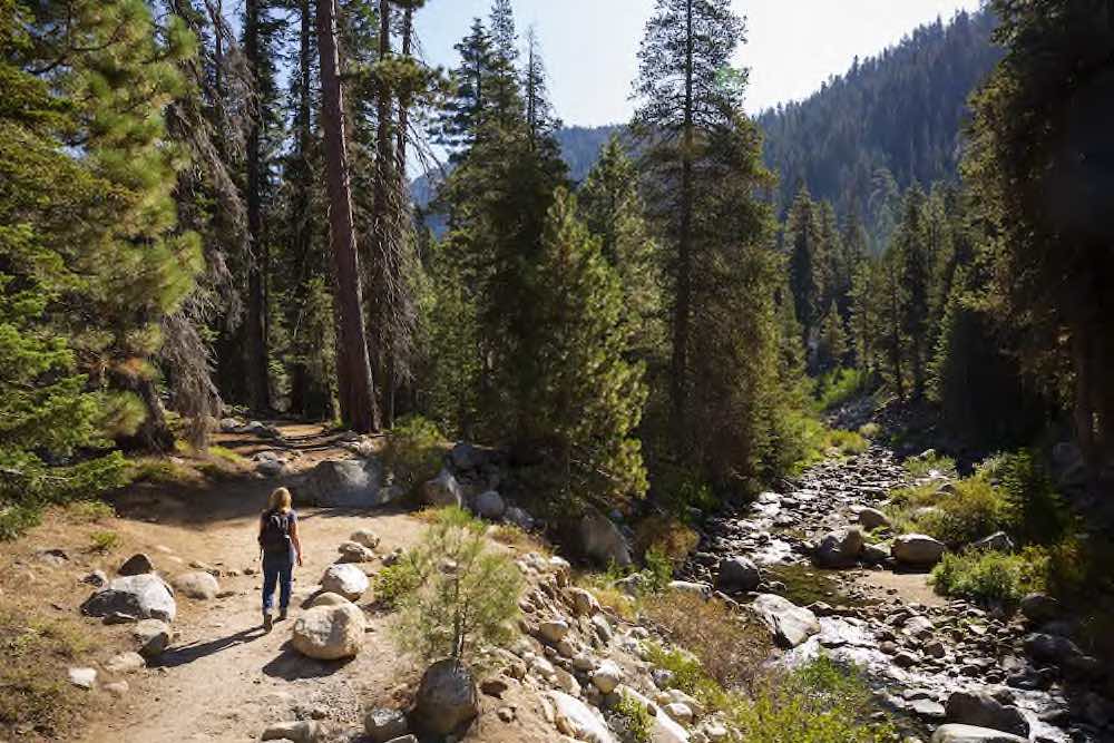 Sequoia Nationalpark "Tokopah Falls Trail" © AdobeStock 297309563 Anthony Brown