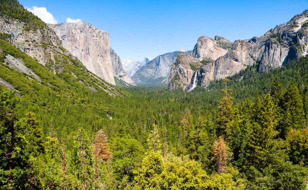 Yosemite Nationalpark © AdobeStock 101138674 Zack Frank