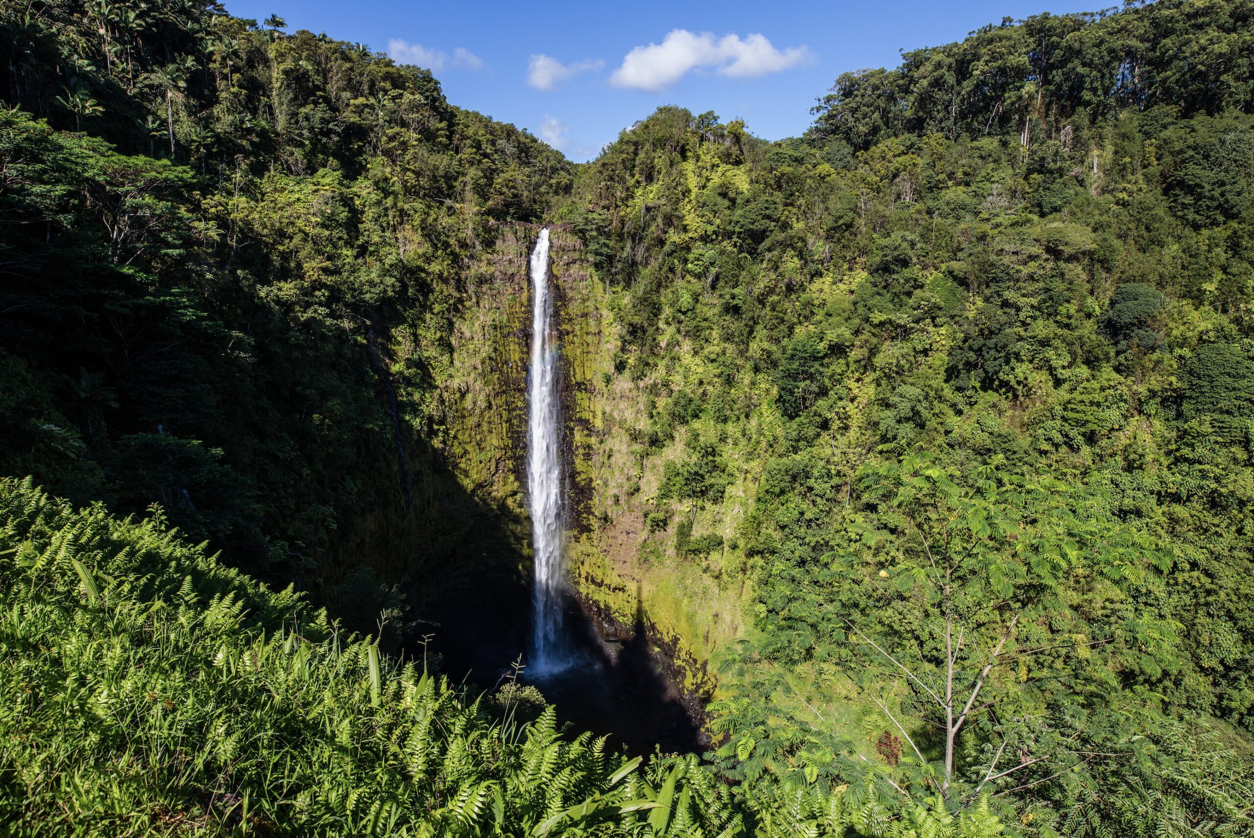 Hawaii Big Island - Vlad Turchenko - Fotolia.com