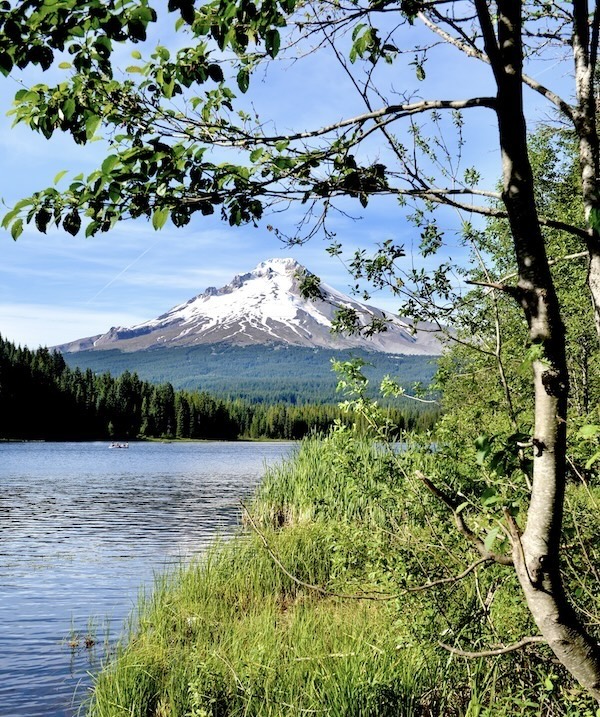 Portland