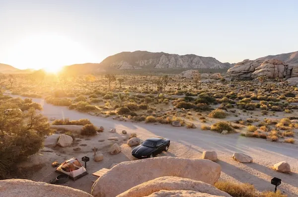 Joshua Tree Nationalpark