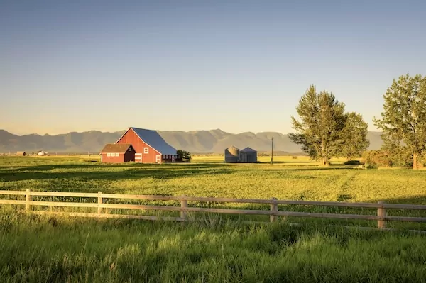 Montana