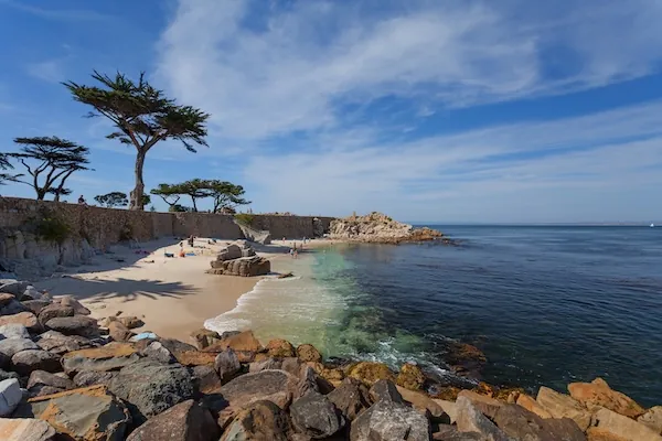 Monterey