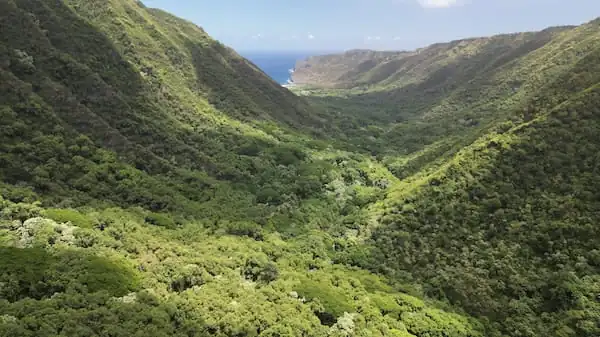 Molokai - Halawa Valley
