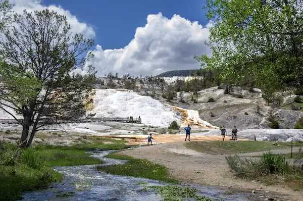 Mammoth Hot Springs