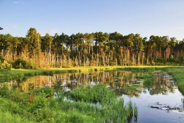 Prince Albert Nationalpark