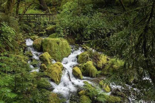 Siskiyou National Forest